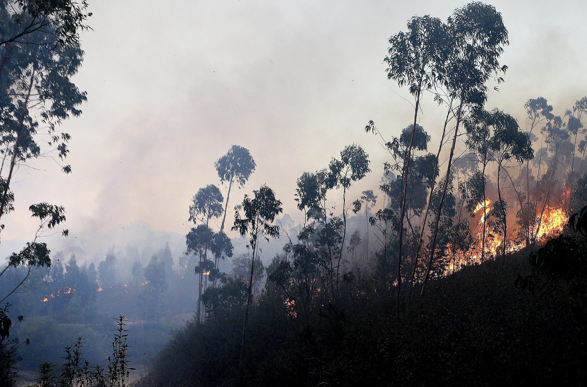 Bombeiro ferido no combate ao incêndio em Monchique