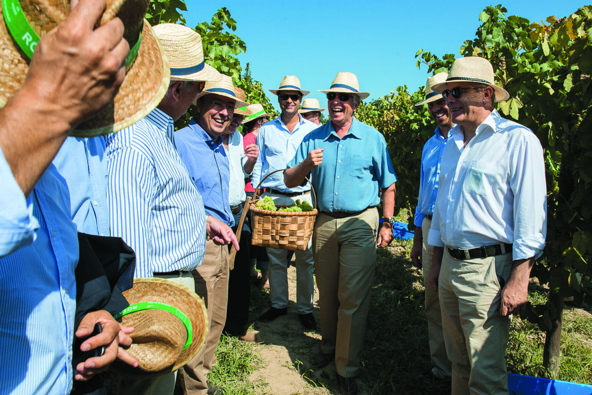 Vinho verde. Os americanos adoram-no e está em alta em todo o lado