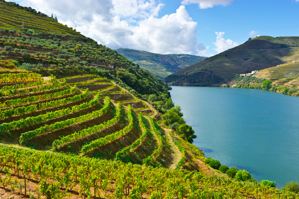 Empresa de vinhos e turismo adquiriu hotel de luxo no Douro