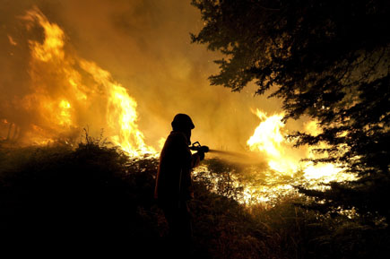 Incêndios. Demasiados meios aéreos para poucos bombeiros florestais