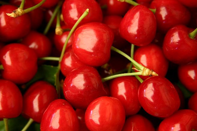 Mau tempo destruiu até 70% da produção de cereja em Resende