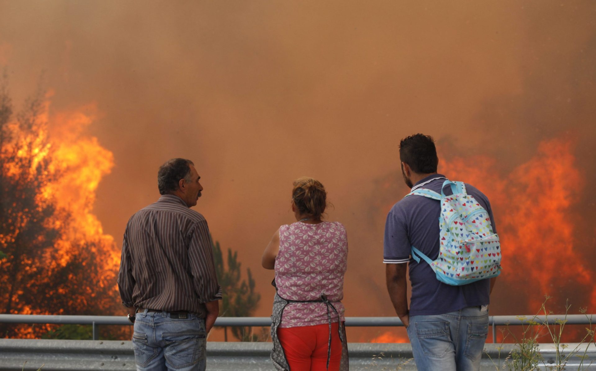 Incêndio no concelho da Covilhã mobiliza mais de 80 operacionais