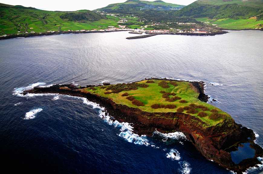 Fauna. Descoberta importante nos Açores