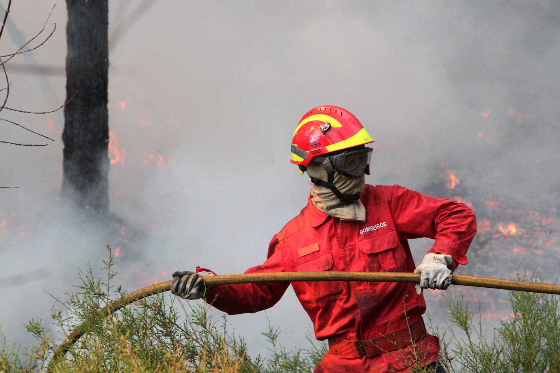 Incêndios. Quase 200 operacionais e sete meios aéreos combatem fogo na Covilhã