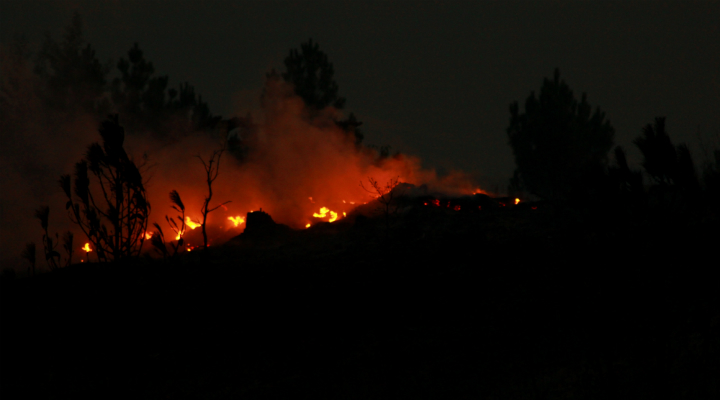 Incêndios. Chamas na Covilhã precisaram de 400 operacionais para lhe fazer frente