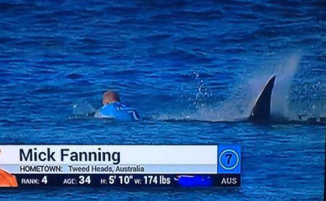 Mick Fanning e o ataque do tubarão: “Dei-lhe uns socos nas costas”