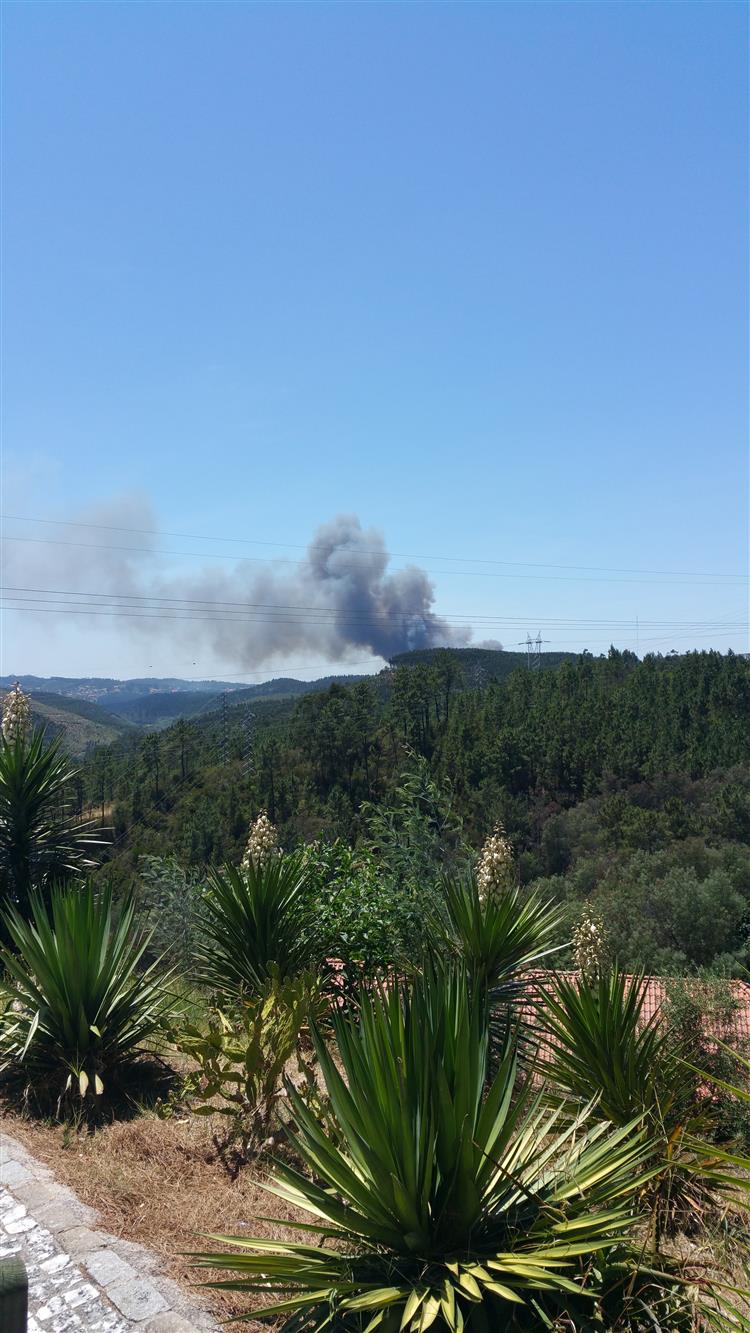 Tomar. Incêndio obriga ao corte da A23