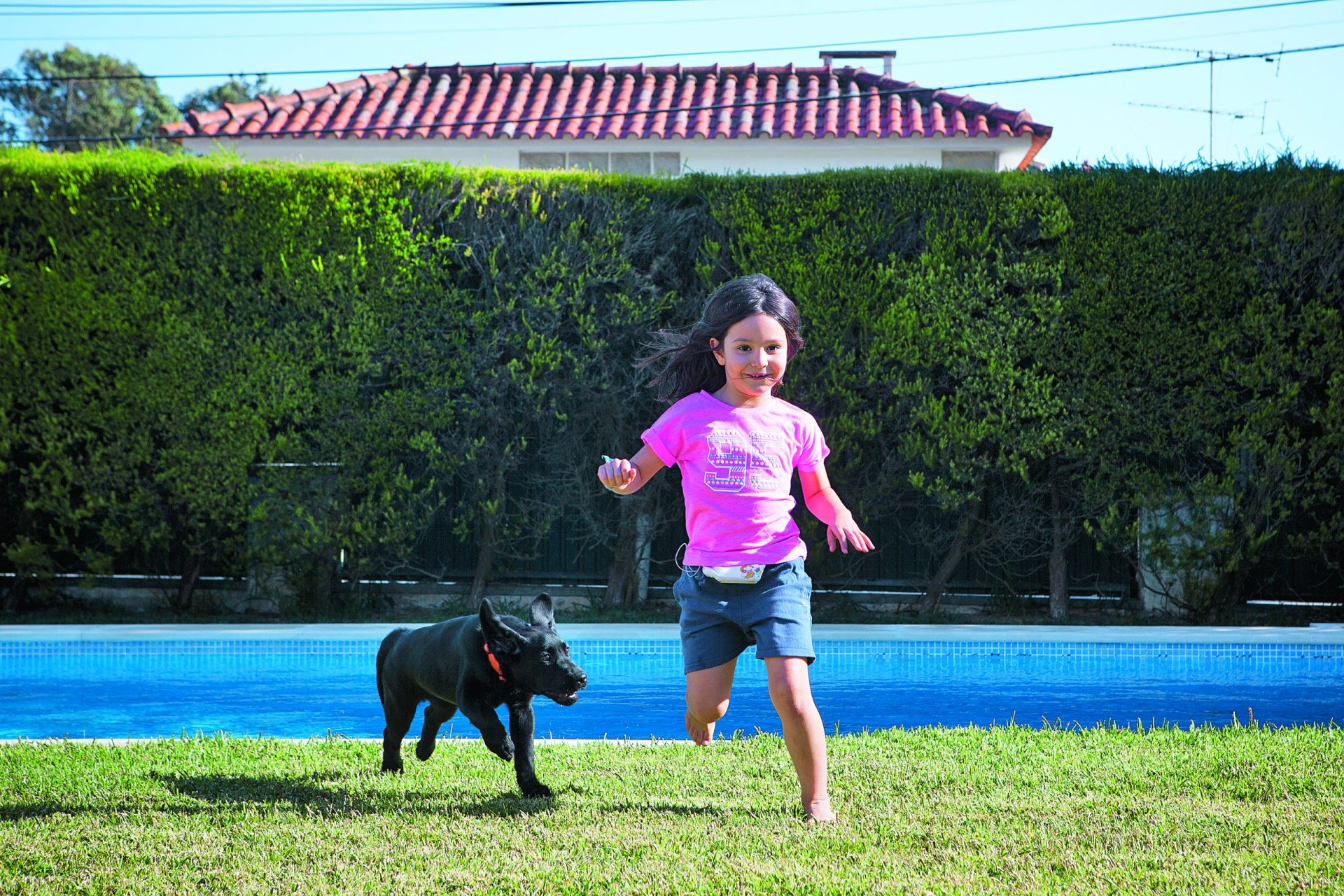 Diabetes. Trocar a pica no dedo pela lambidela do cão