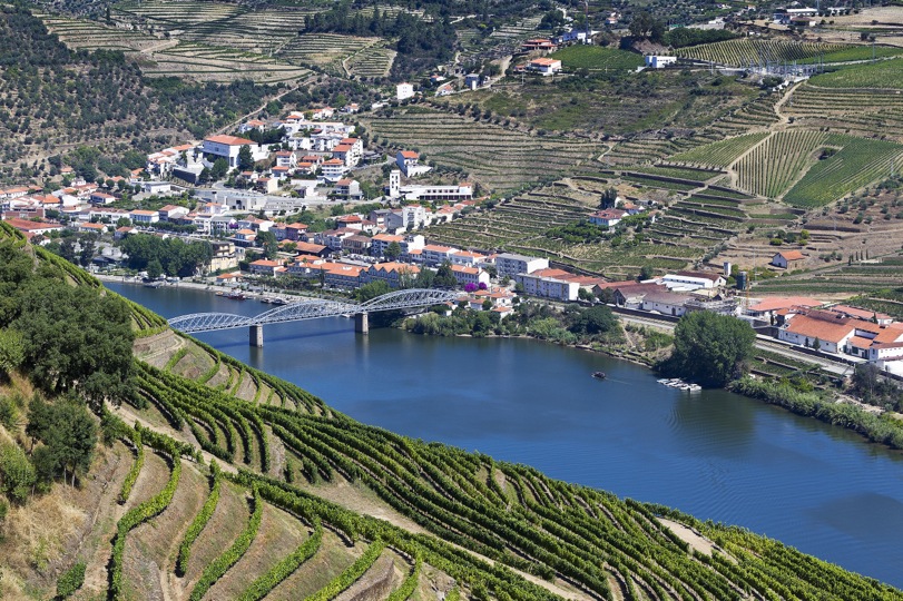 Três propostas para vivenciar as vindimas no Douro