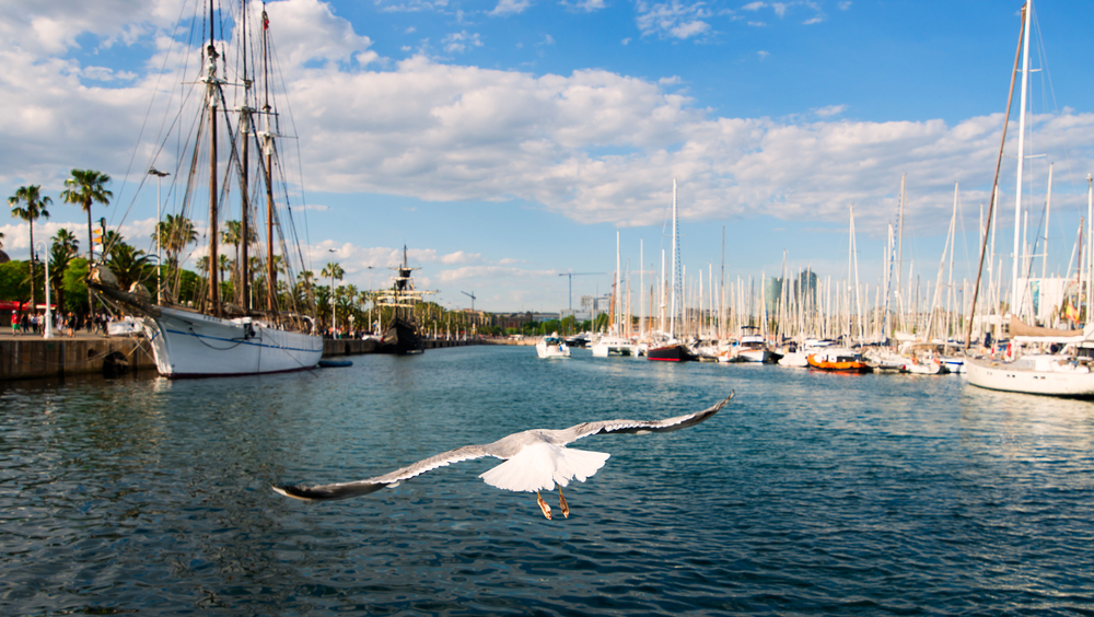 Revista italiana coloca ponte em Vilamoura no “top 10” das melhores do mundo