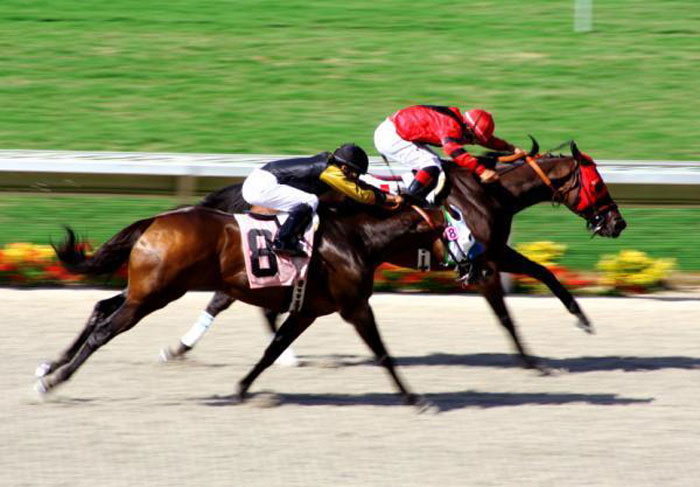 Daqui a três anos vai ser possível apostar em corridas de cavalo