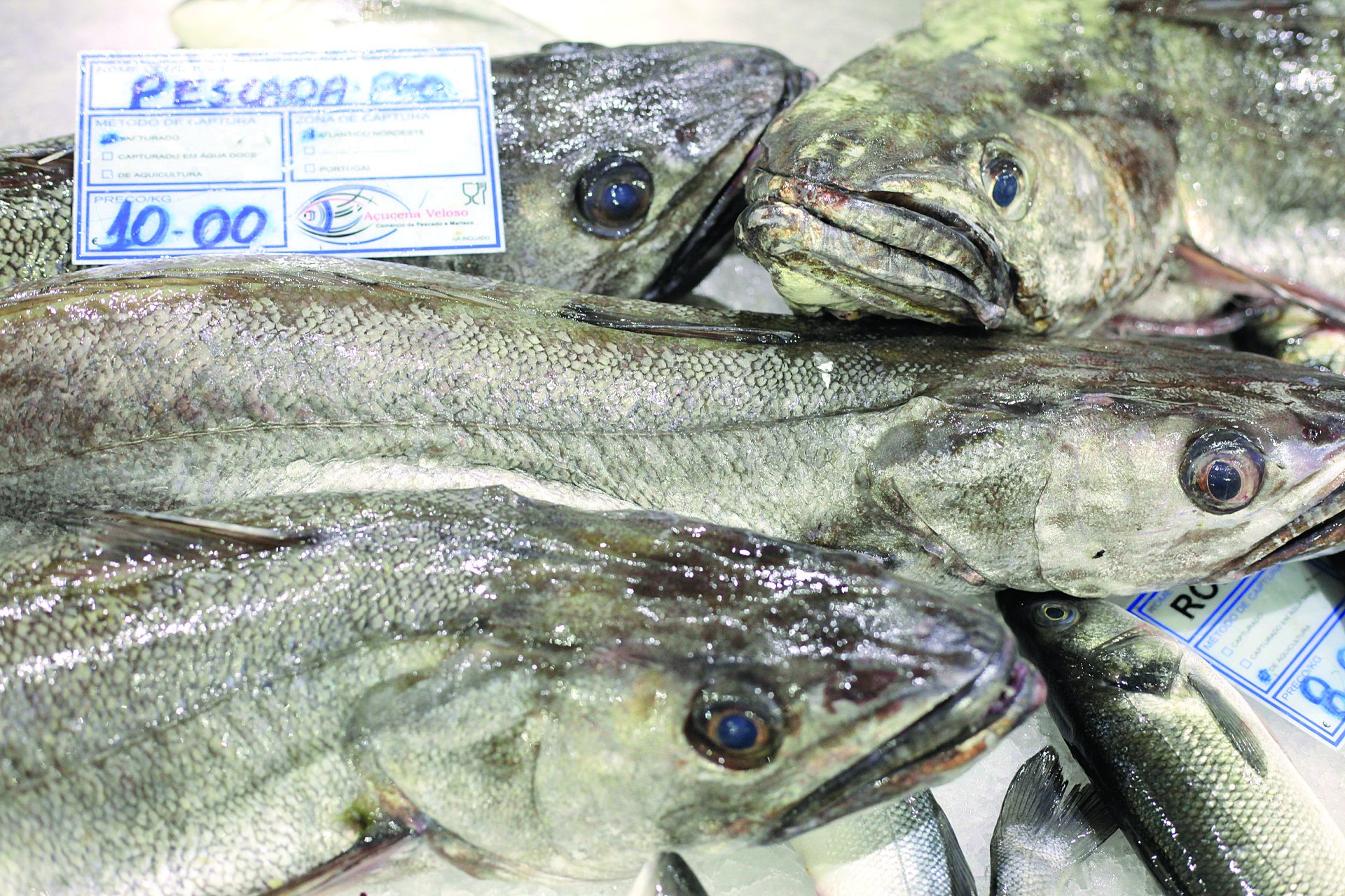 As dicas da Açucena para escolher bom peixe