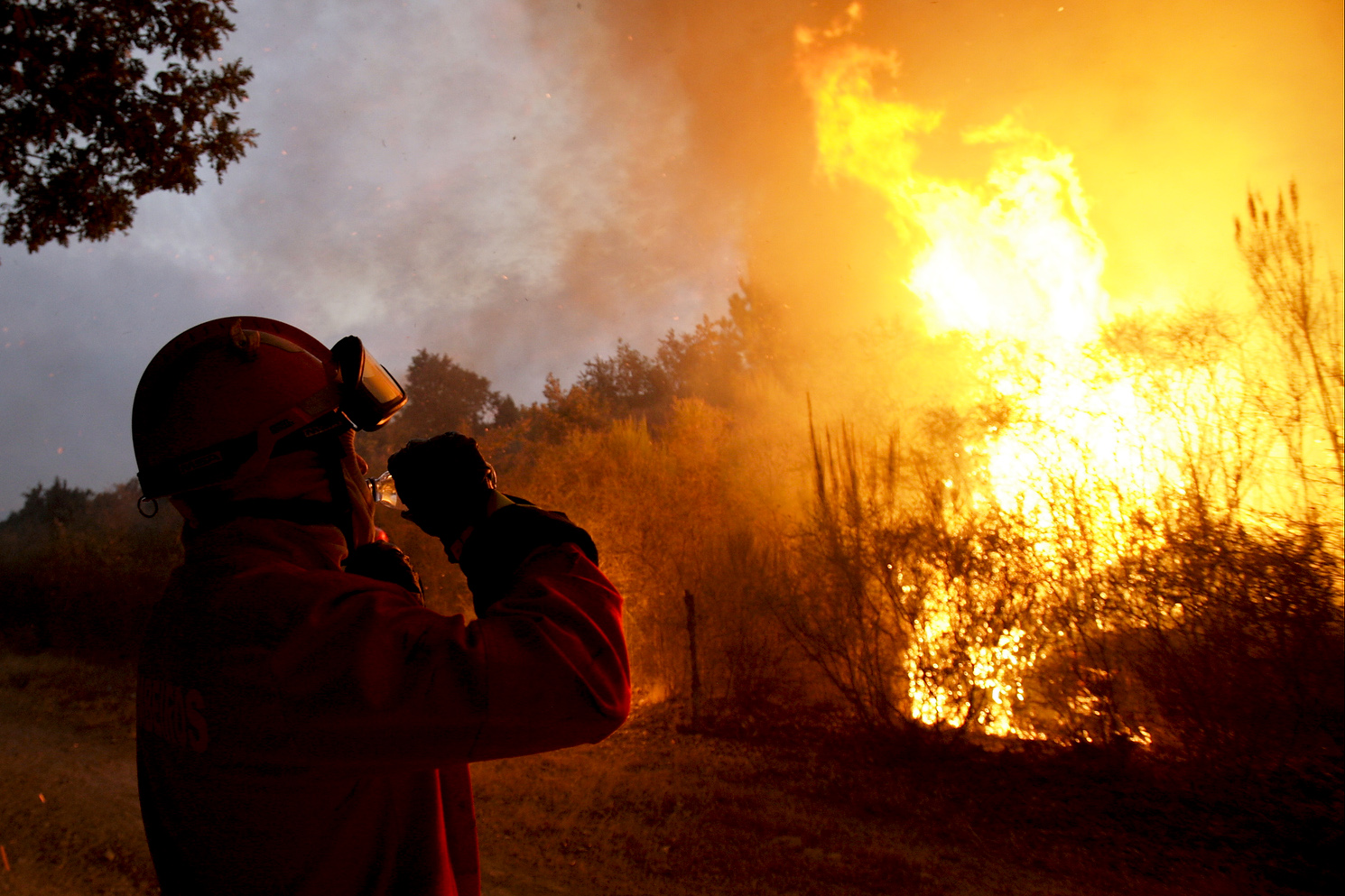 Incêndio do Sabugal com reacendimentos devido a ventos fortes