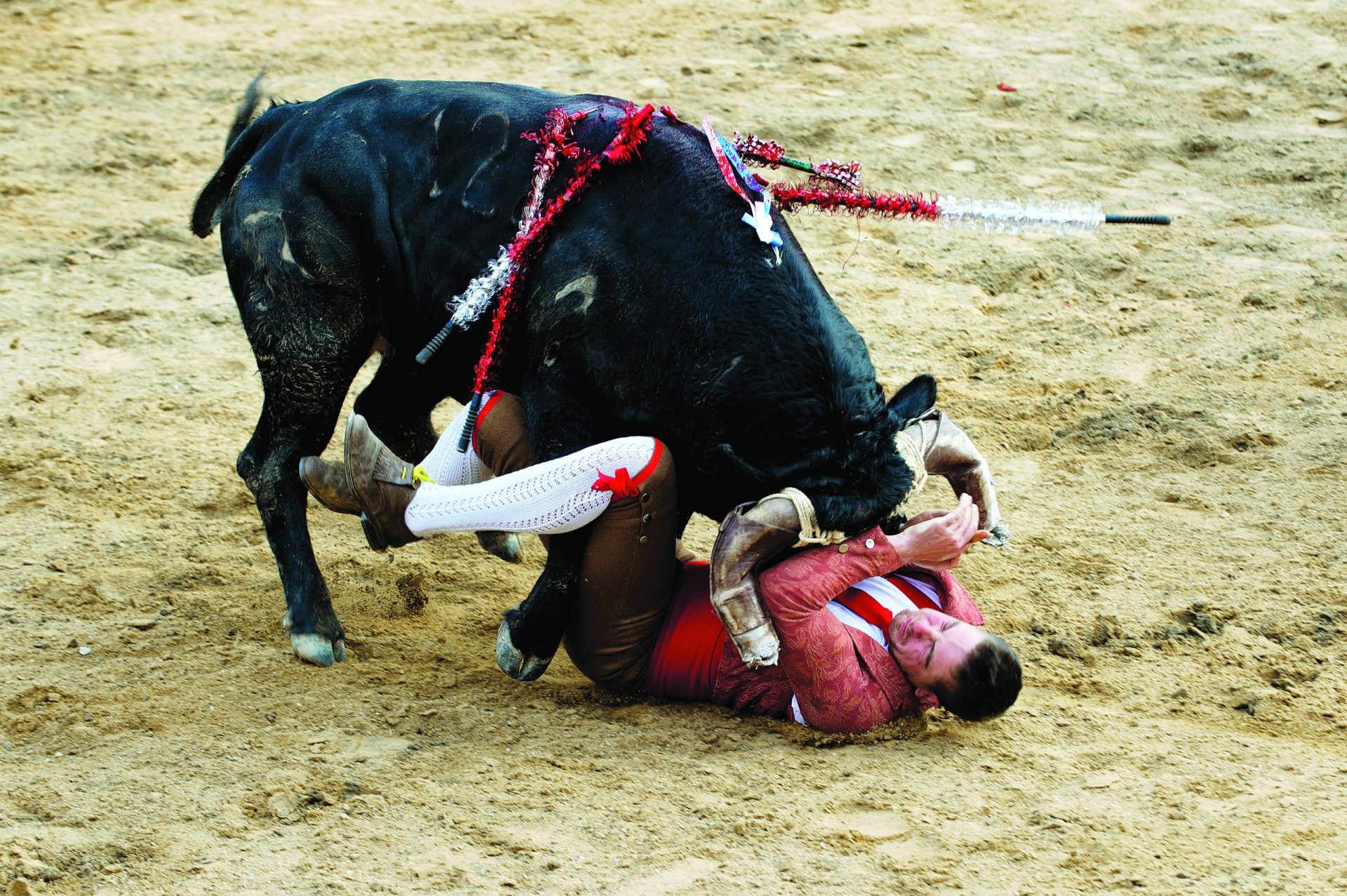 Touradas. A polémica está de volta