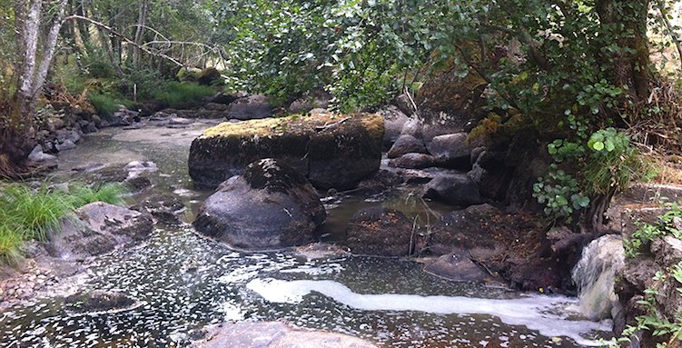 Rio Paiva. Autarquias negam descargas poluentes