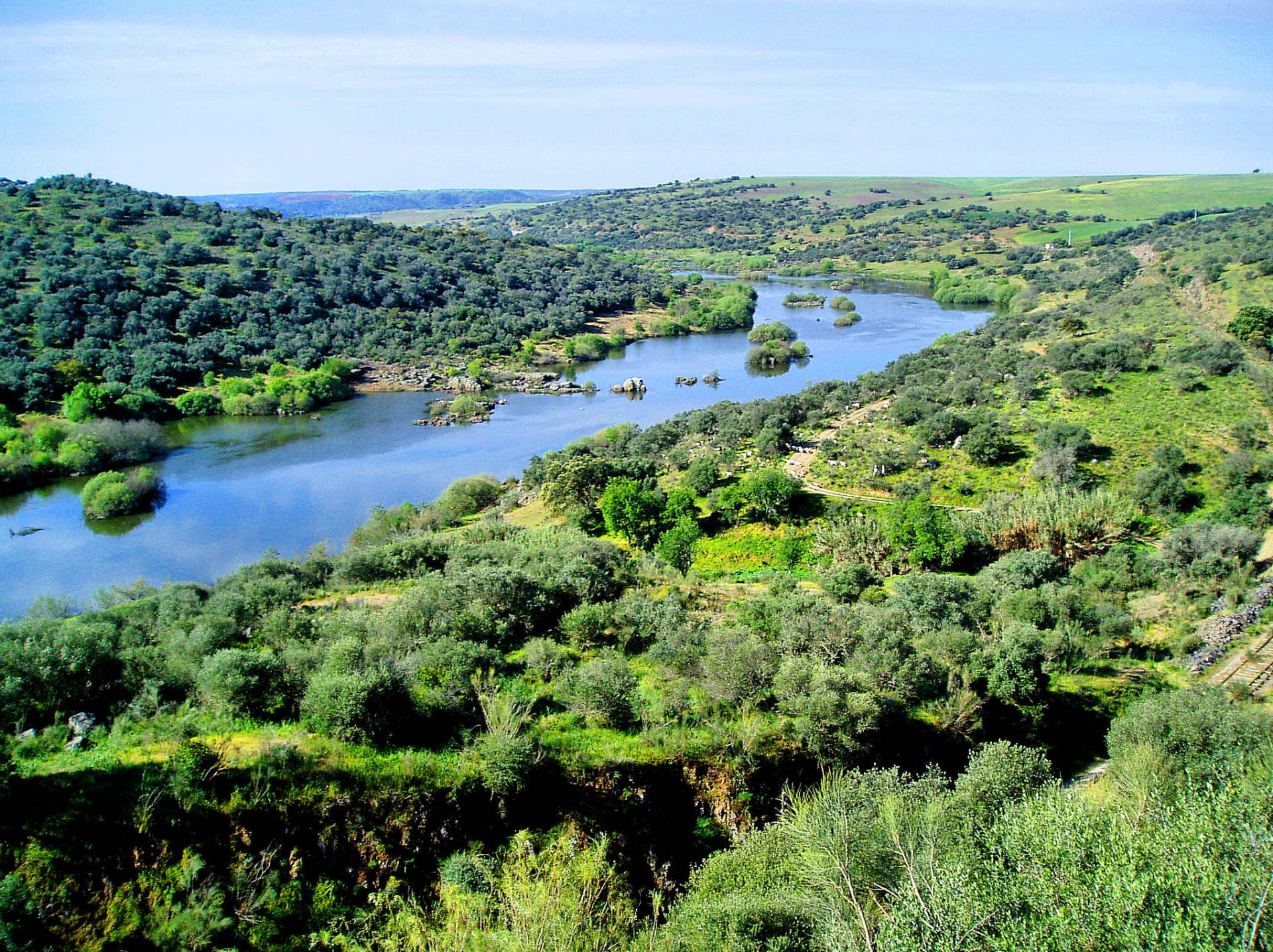 Top 10 das viagens gastronómicas de Portugal – Descobrir a planície dourada