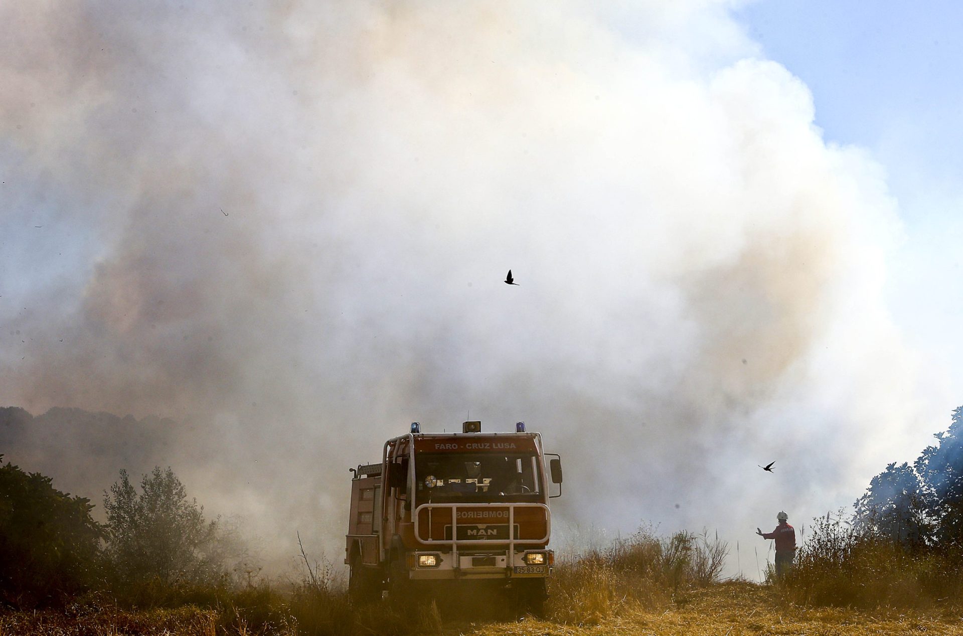 Quatro bombeiros feridos em combate a incêndio na Guarda