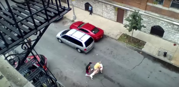 Dois pit bull atacam homem na rua [video]