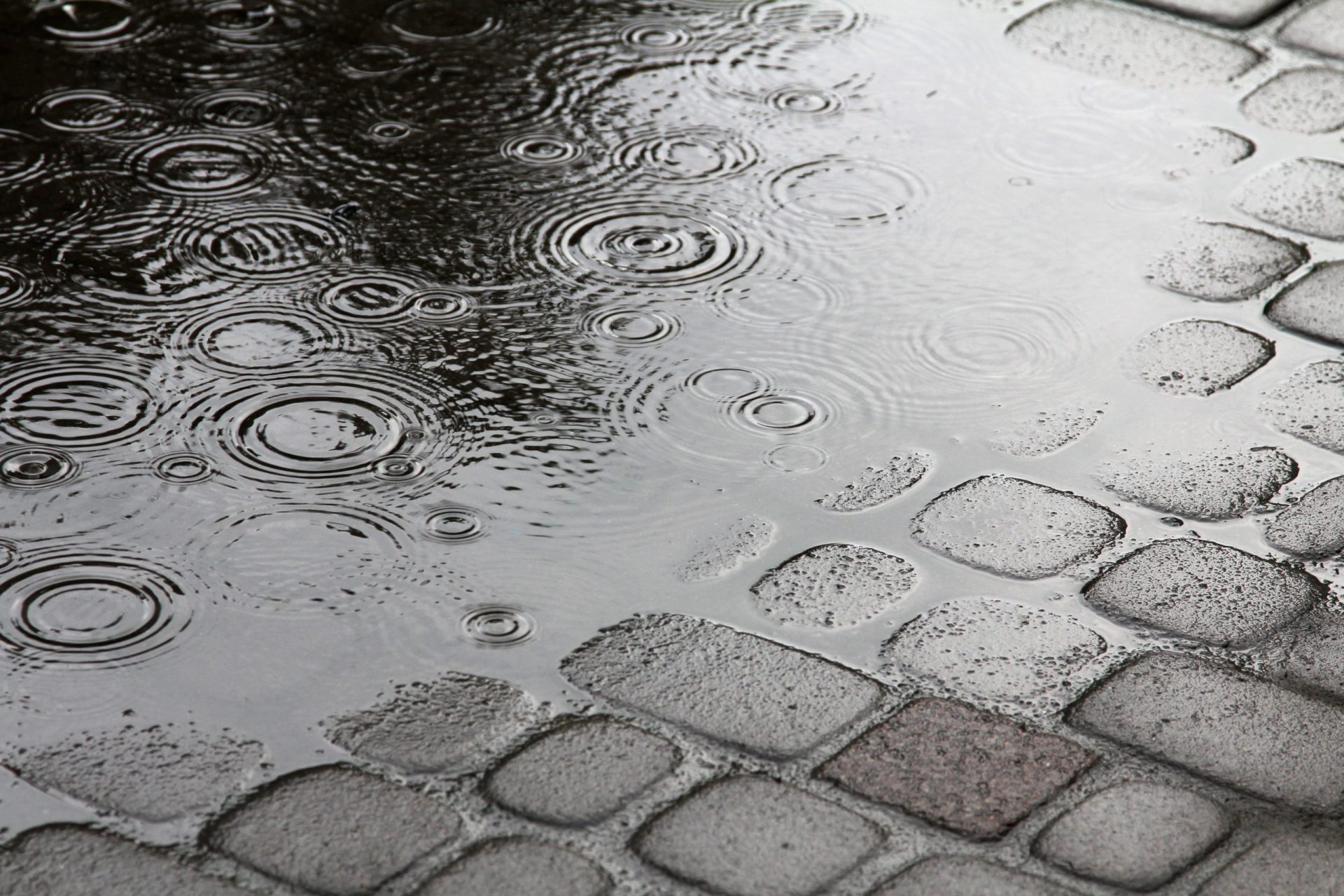 Alerta vermelho. A chuva está de volta