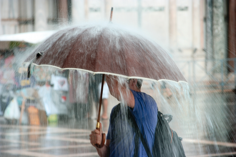 Feira do Livro do Porto encerrada devido a chuva e vento