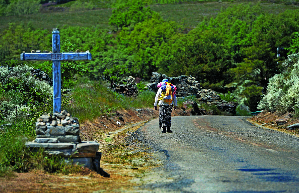 O assassino do Caminho de Santiago. Denise acabou enterrada num pinhal