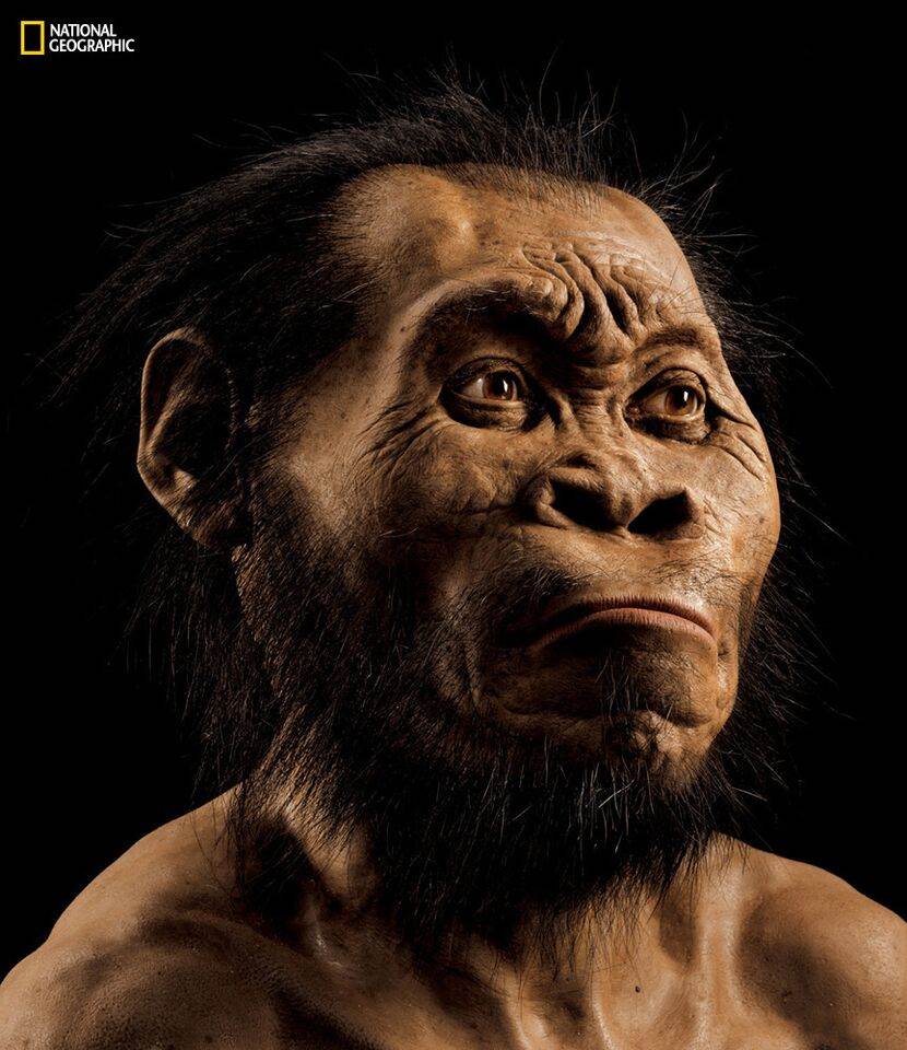 África do Sul. “Homo Naledi” suscita polémica