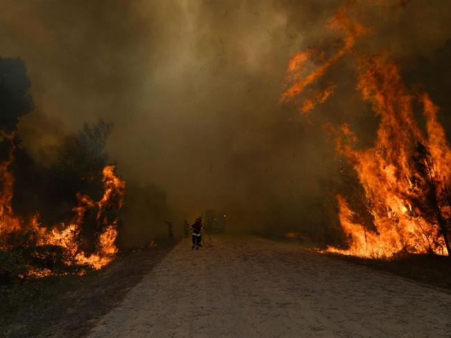 Incêndio. Arouca repõe troço de passadiço queimado