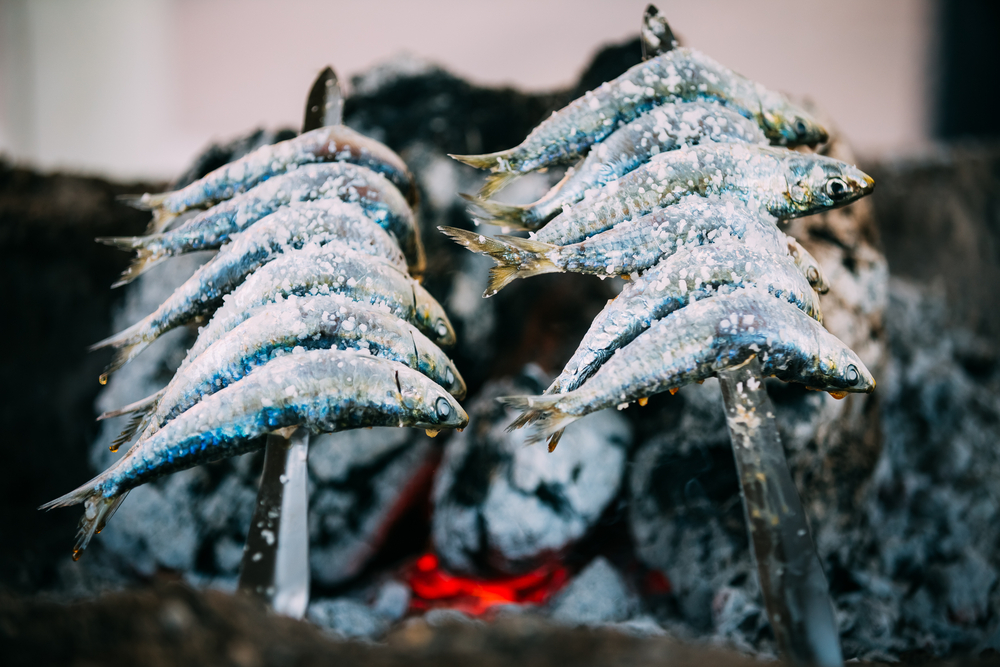 Sardinha.  Acabou a pesca.  Agora ficam  as preocupações