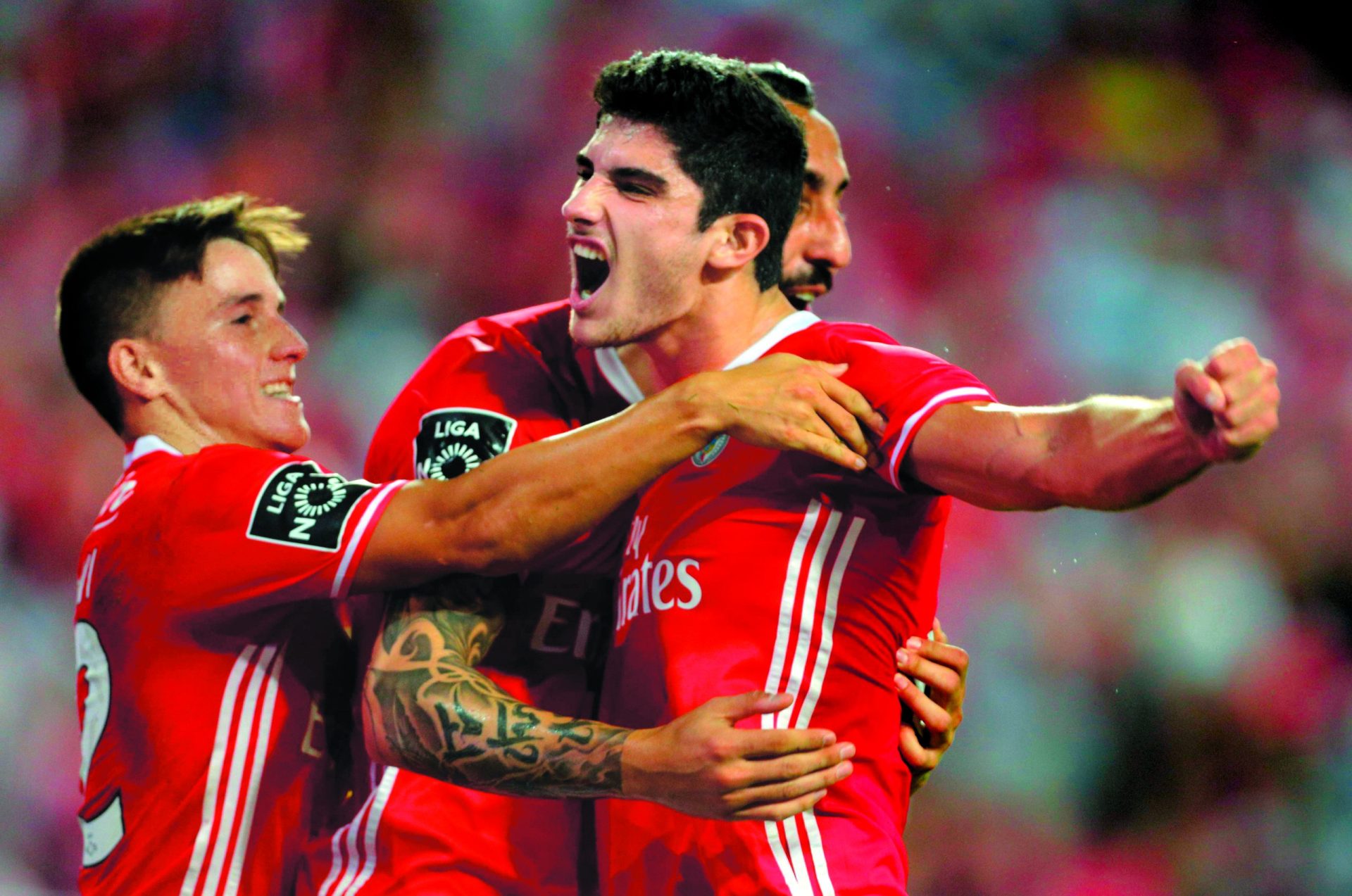 Benfica. Dona águia Solitária faz absorta a sua malha&#8230;