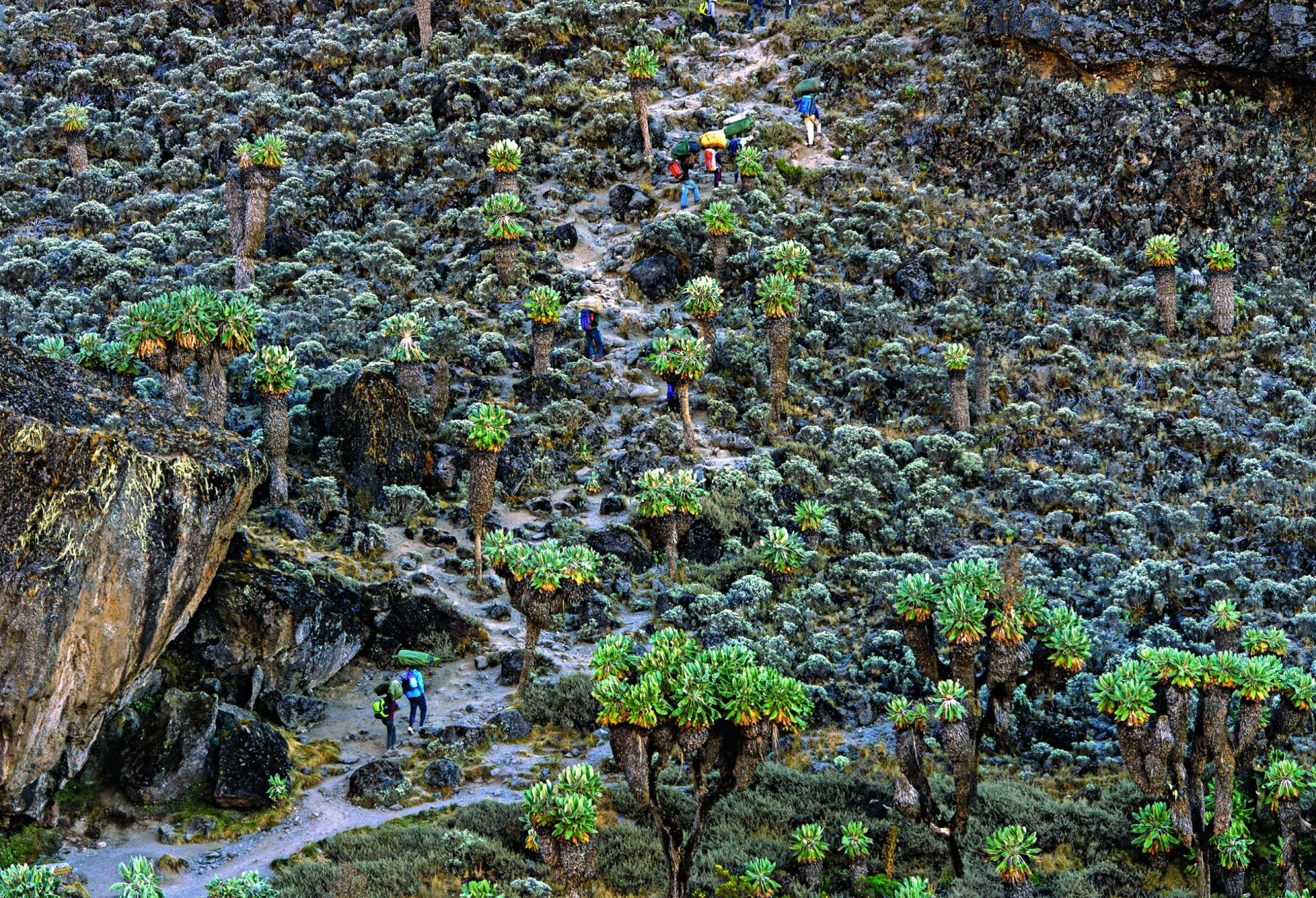 Manuel Correia. O português que conquistou o Kilimanjaro