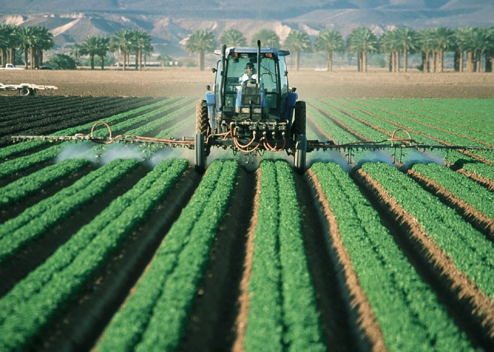 Governo entregou 1,7 milhões de euros a agricultores