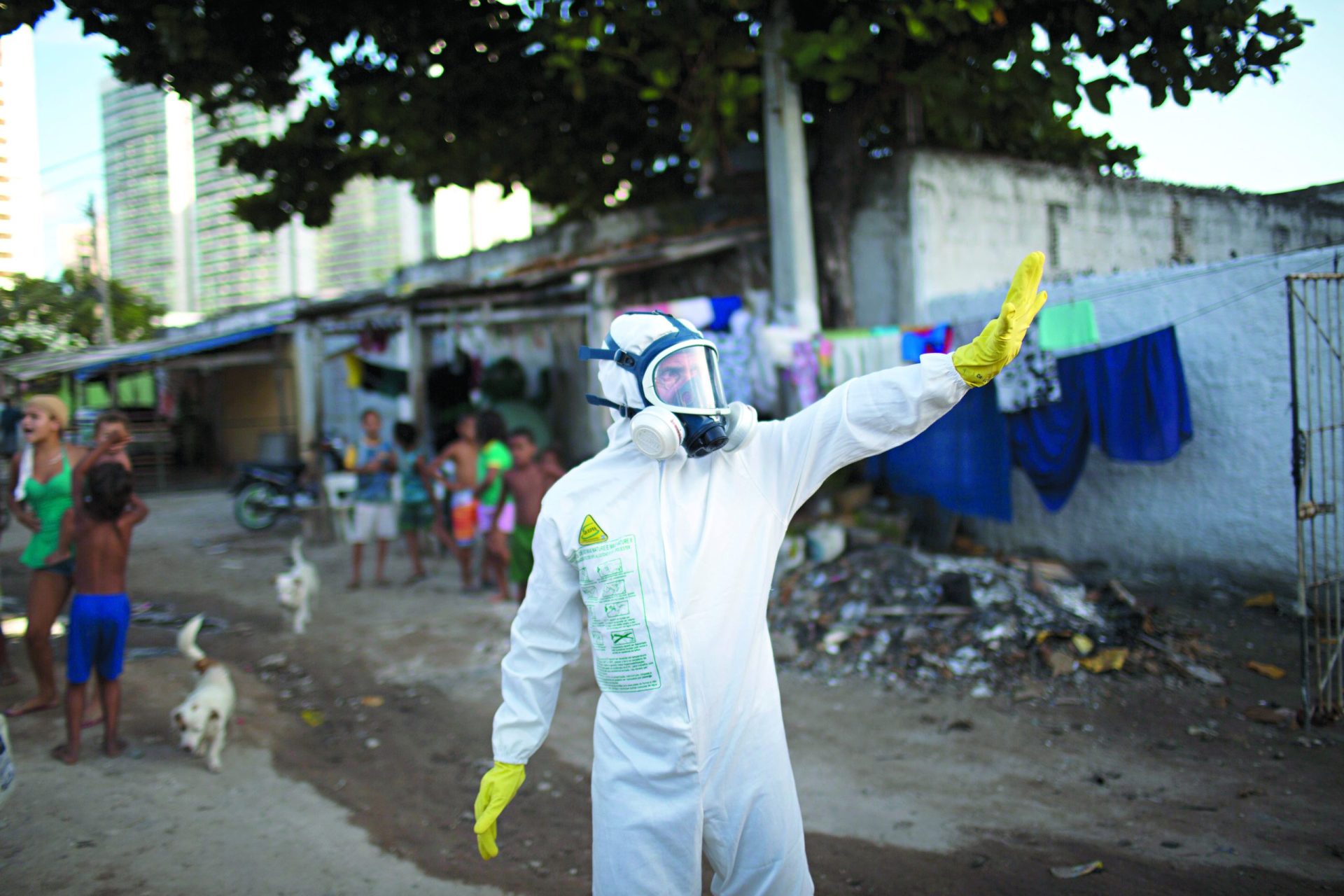 Zika. Sobe para seis o número de casos confirmados no país