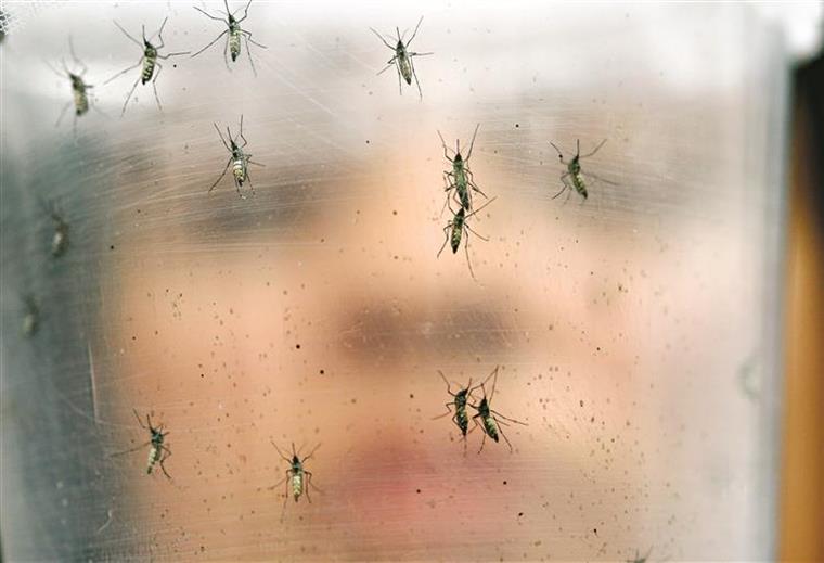 Primeiro caso de zika na Coreia do Sul