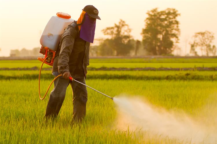 Bayer oferece 62 mil milhões de dólares pela Monsanto