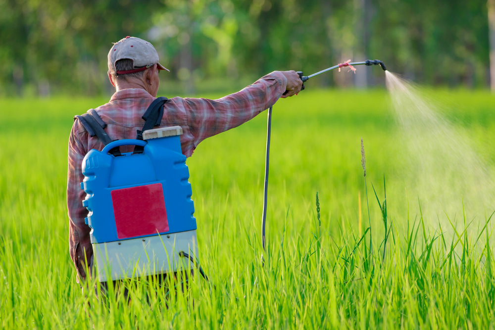 Pesticidas. Ministério da Agricultura avalia