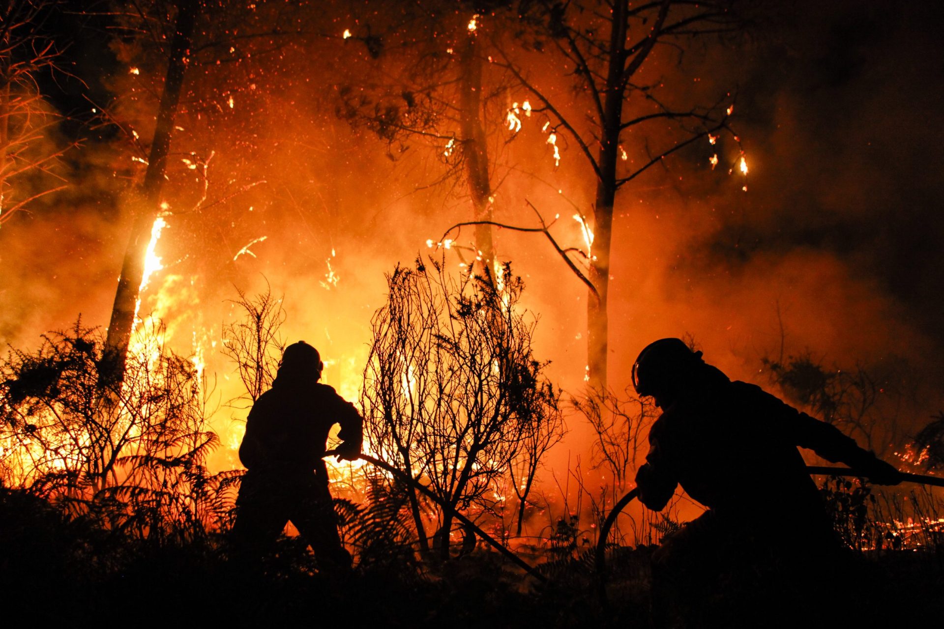 Incêndio em Loures mobilizou 168 operacionais e 51 veículos