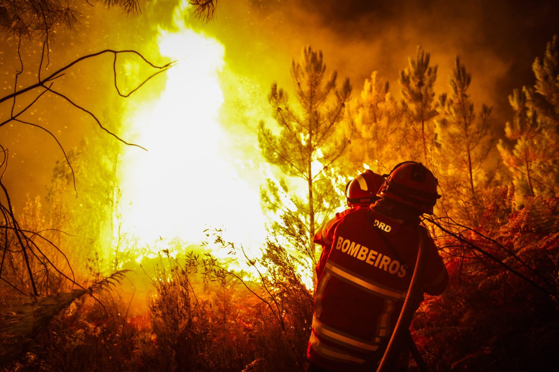 Abrantes. Chamas não dão tréguas a populações e bombeiros