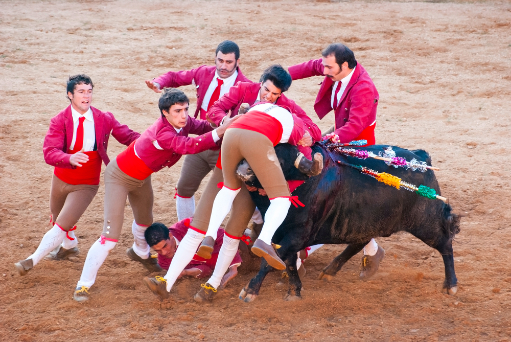 Tourada da Juventude Popular gera polémica