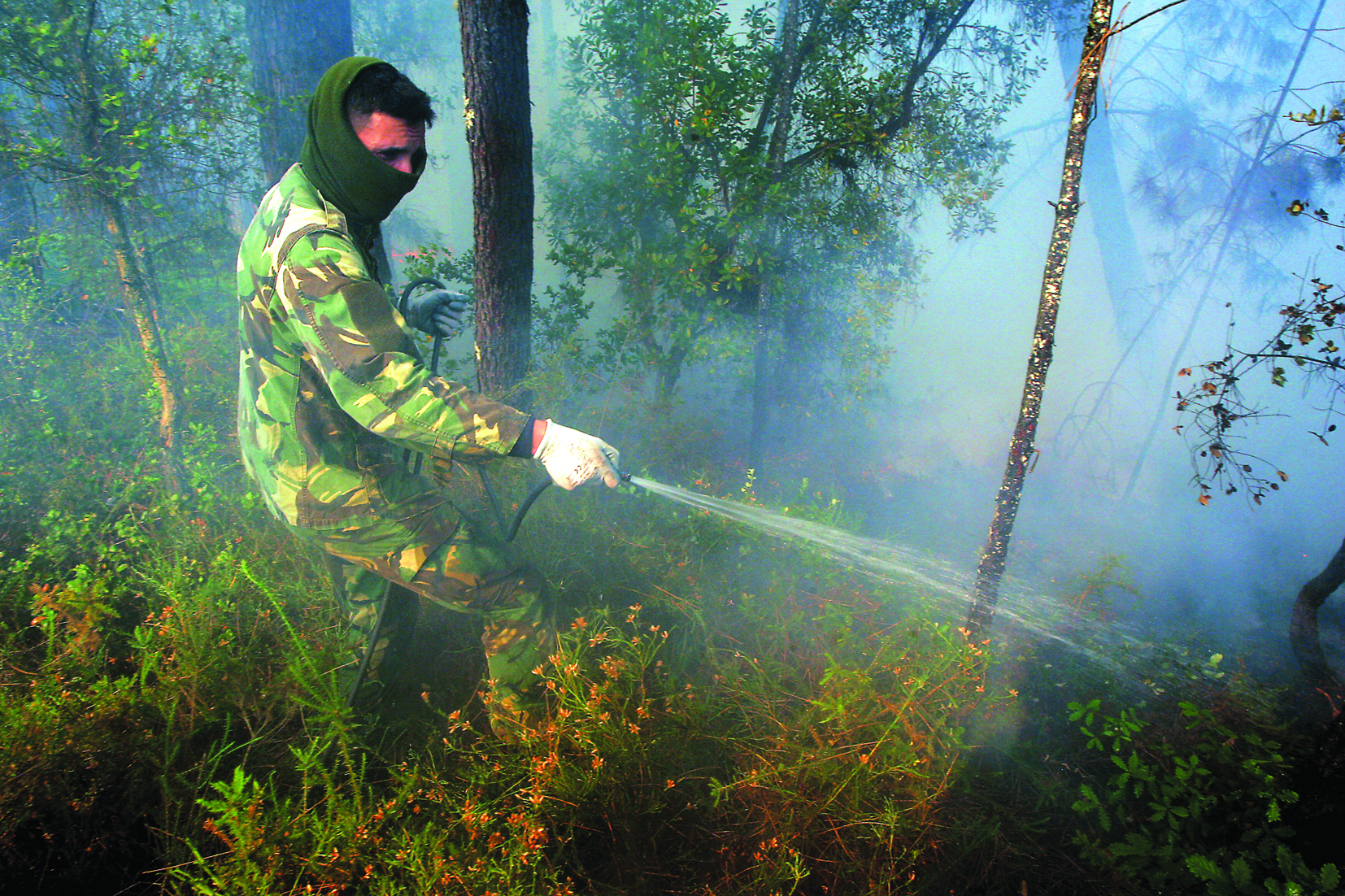 Peritos recomendam maior envolvimento militar nos fogos