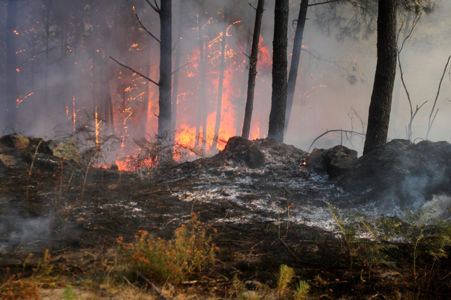 Incêndio de Monção está controlado