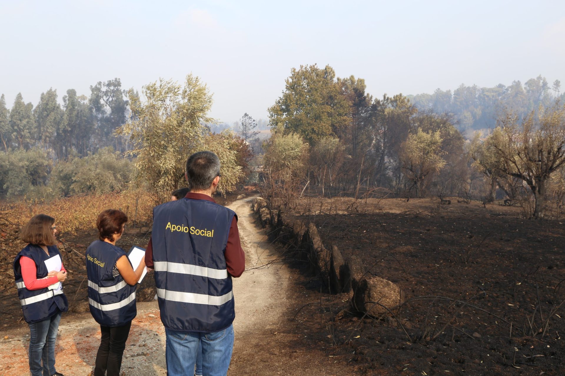 Incêndios. O pânico transforma a morte em absurdo