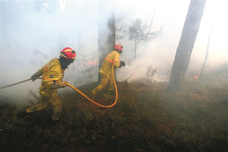 Antigo comandante da Proteção Civil terá desviado meios dos incêndios