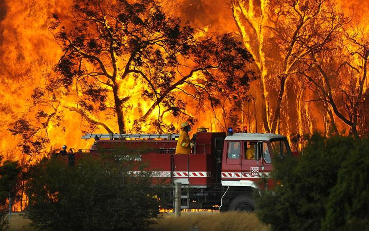 Não há explicação para um terço dos incêndios