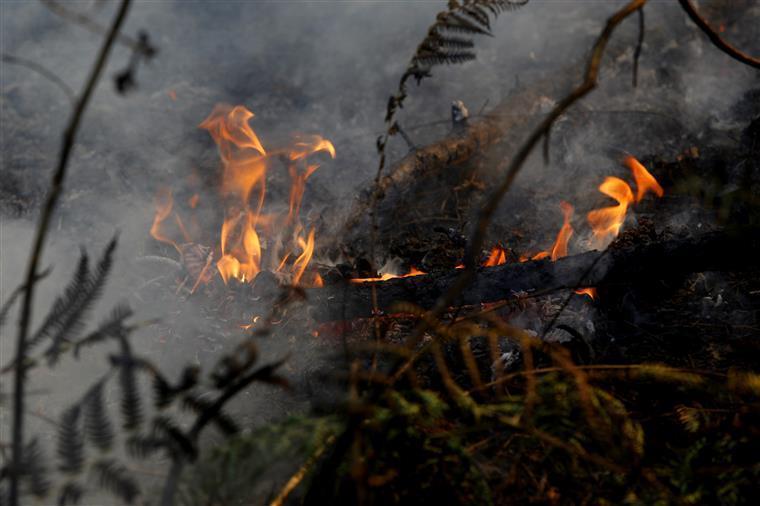 Sete concelhos com alerta de risco máximo de incêndios