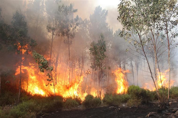 Incêndio na Serra de Santa Justa está a propagar-se com “intensidade”