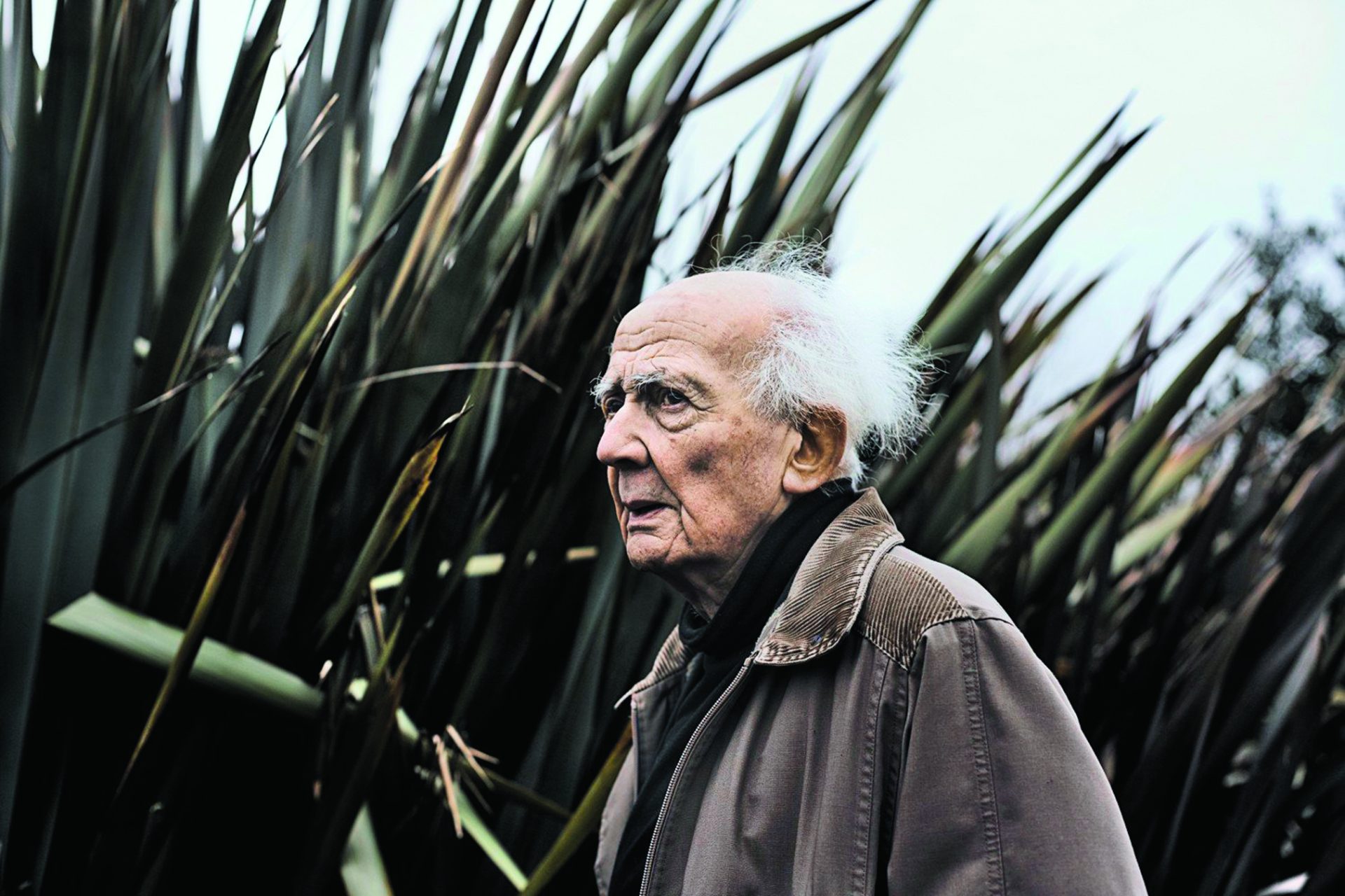 Zygmunt Bauman. Tudo o que é sólido se dissolve na morte