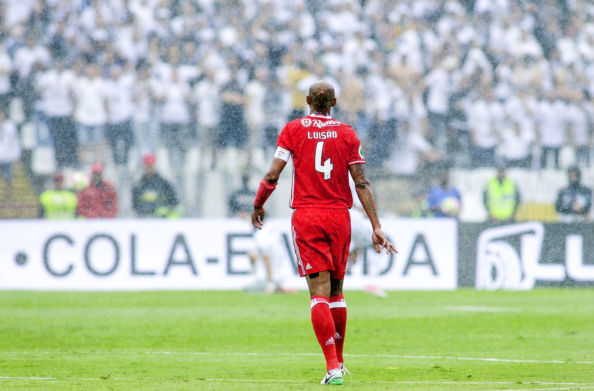 Luisão elogia Jorge Jesus