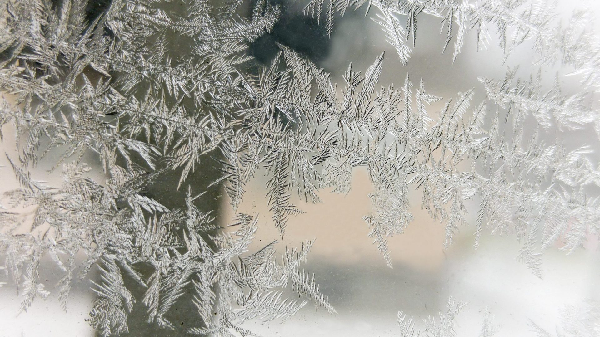 Temperaturas baixas podem provocar “geada negra”