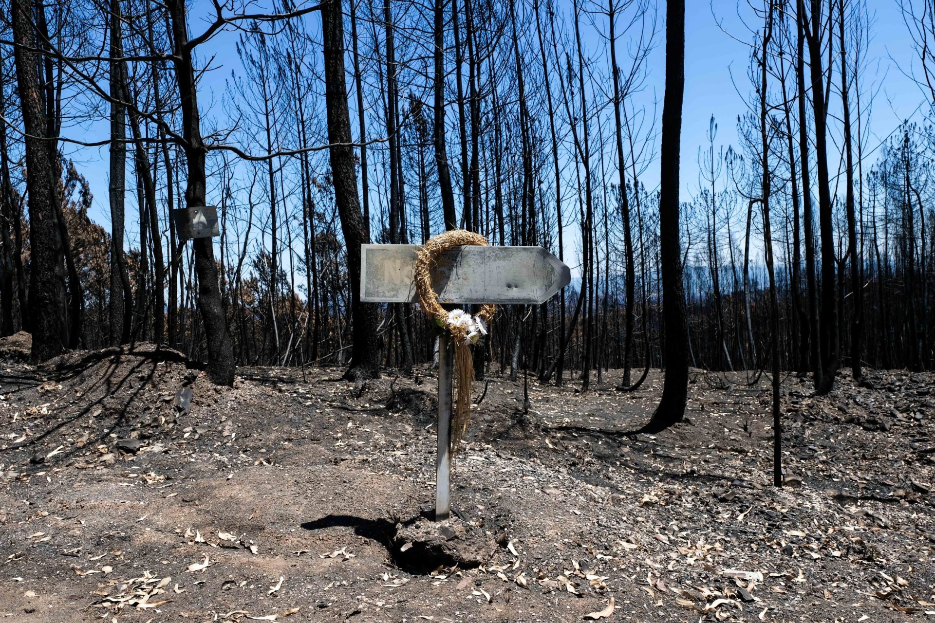 Incêndios. Empresas afetadas já podem concorrer a apoios