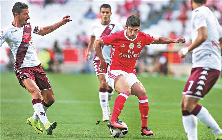 Benfica-Tondela. Zivkovic estreia-se a titular na Liga, Guedes nem no banco